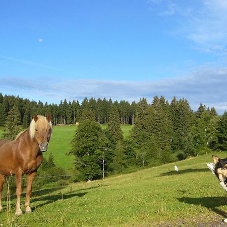 Hoehengasthaus Kolmenhof An Der Donauquelle Furtwangen Bagian luar foto