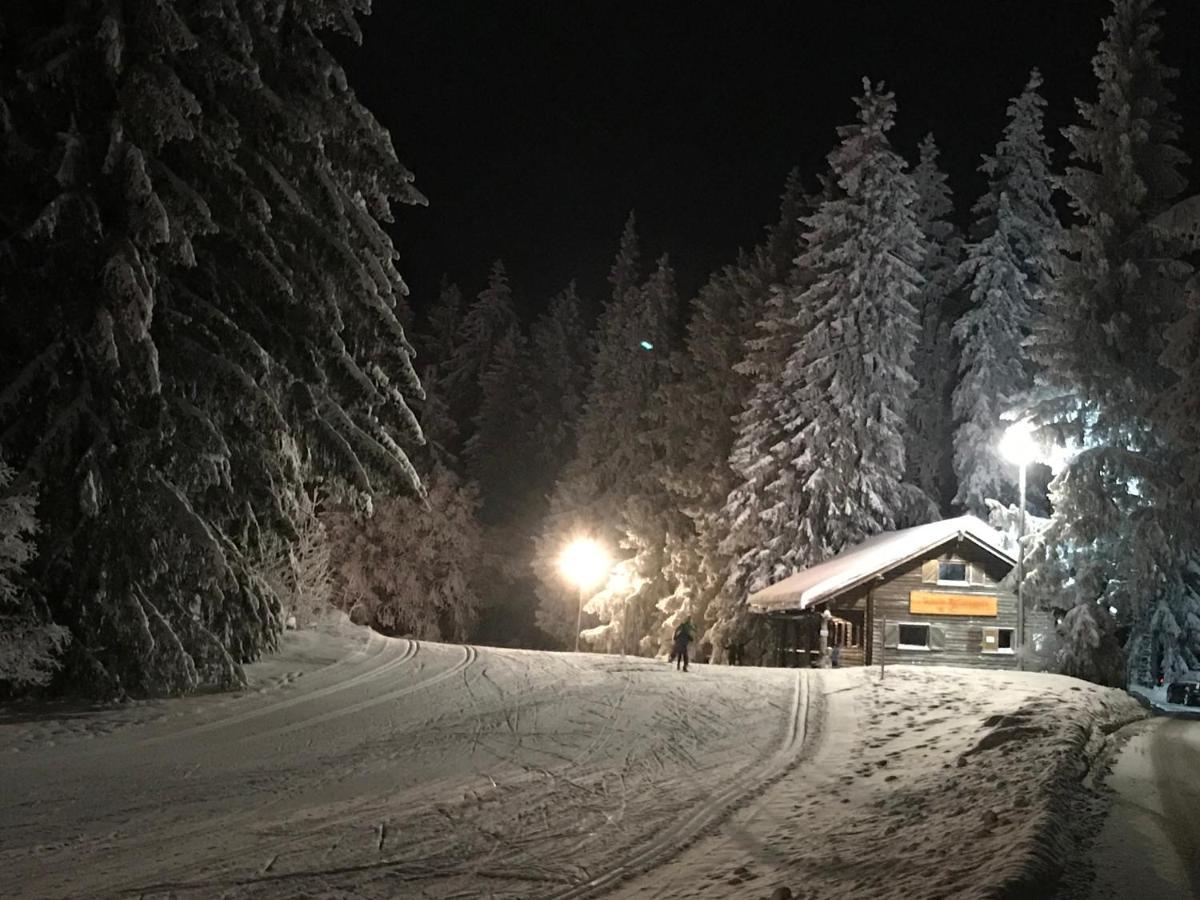 Hoehengasthaus Kolmenhof An Der Donauquelle Furtwangen Bagian luar foto