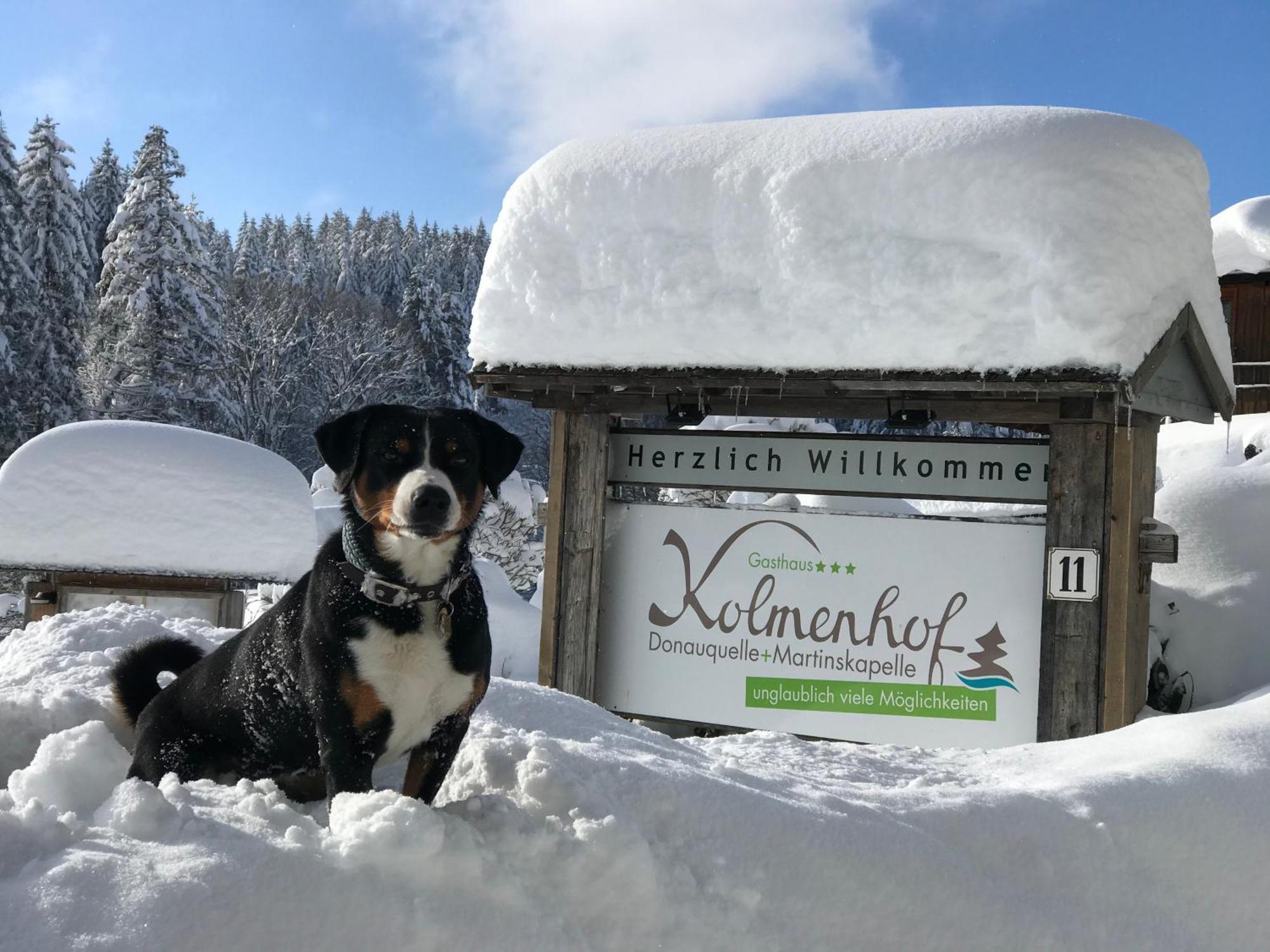 Hoehengasthaus Kolmenhof An Der Donauquelle Furtwangen Bagian luar foto