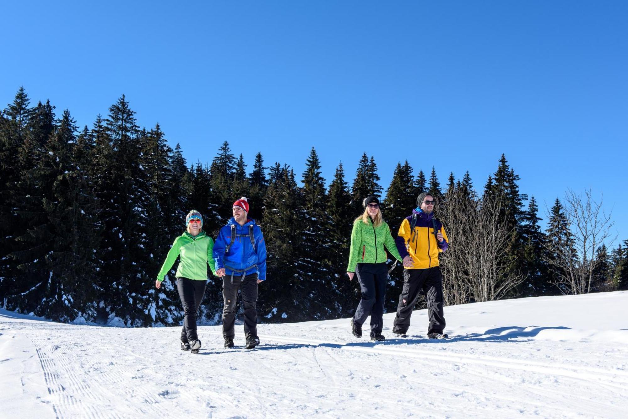 Hoehengasthaus Kolmenhof An Der Donauquelle Furtwangen Bagian luar foto