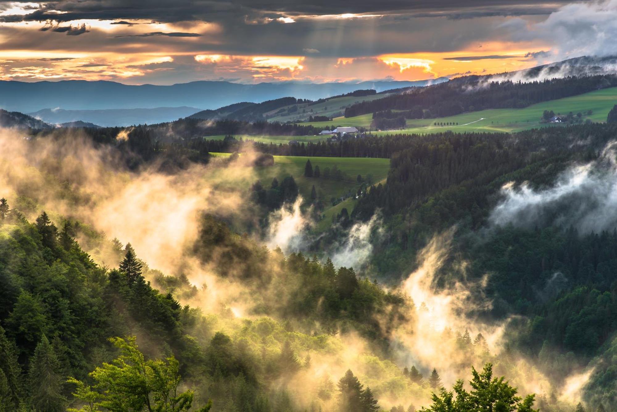 Hoehengasthaus Kolmenhof An Der Donauquelle Furtwangen Bagian luar foto