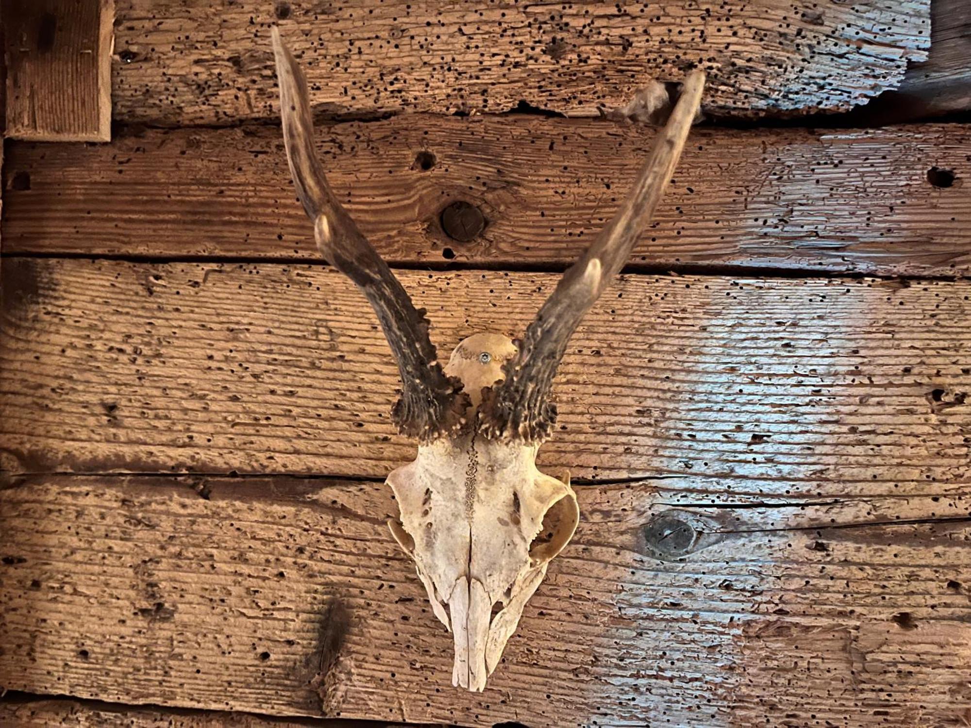 Hoehengasthaus Kolmenhof An Der Donauquelle Furtwangen Bagian luar foto