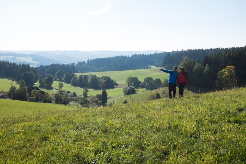 Hoehengasthaus Kolmenhof An Der Donauquelle Furtwangen Bagian luar foto