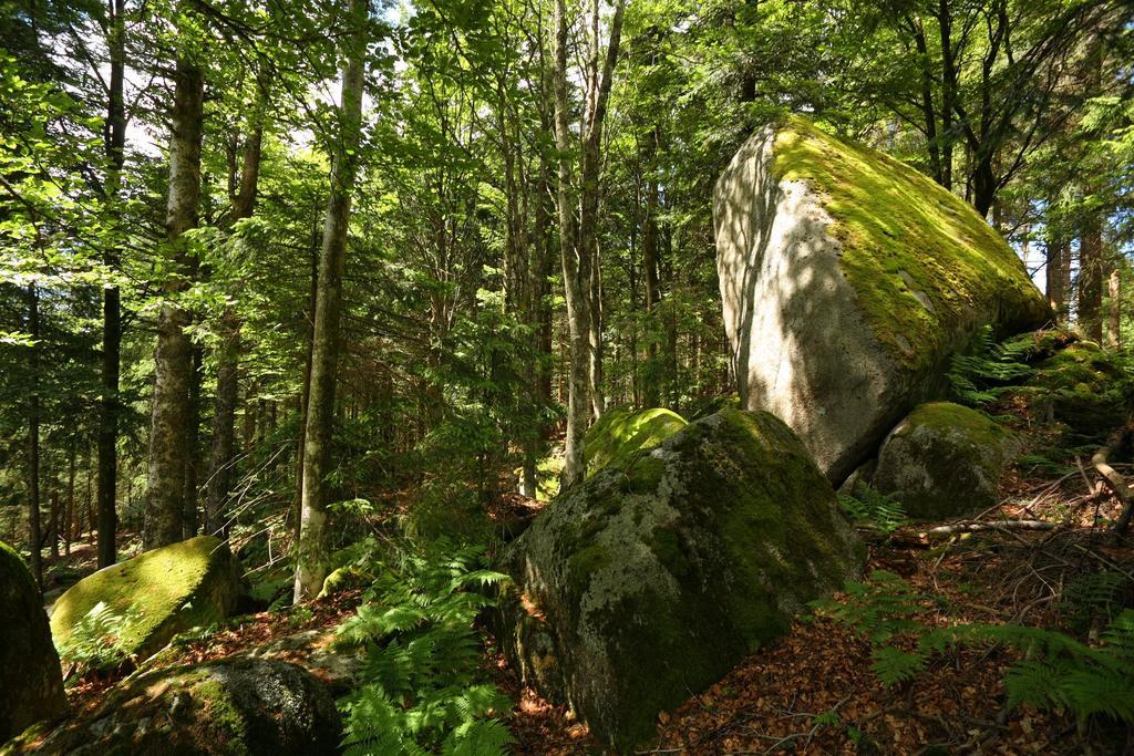 Hoehengasthaus Kolmenhof An Der Donauquelle Furtwangen Bagian luar foto