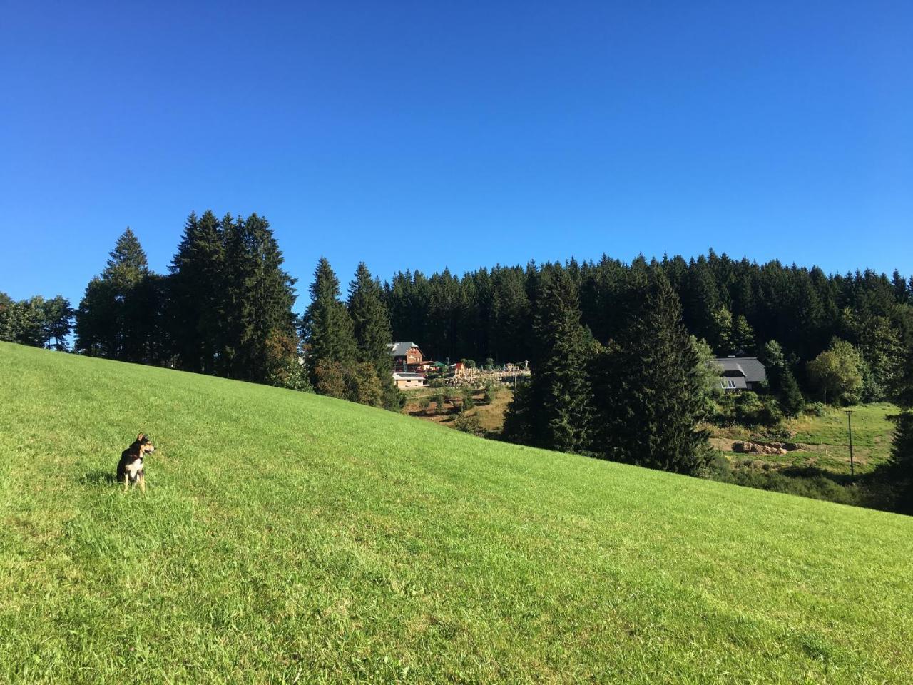 Hoehengasthaus Kolmenhof An Der Donauquelle Furtwangen Bagian luar foto